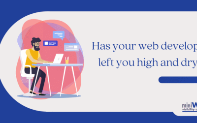Has your web developer left you high and dry?